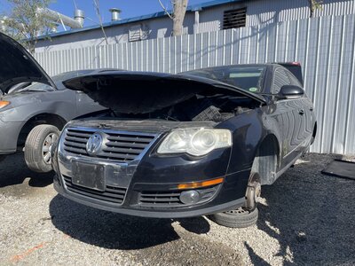 Catalog item POM062429