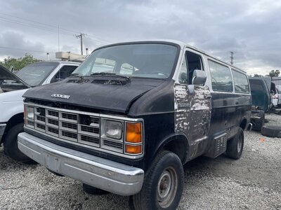 Catalog item POM063276