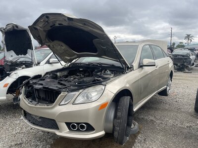 Catalog item POM063659