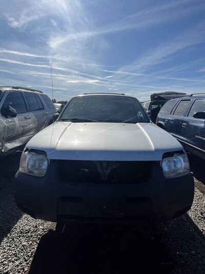 Catalog item SAC048198