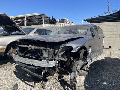 Catalog item POM062367