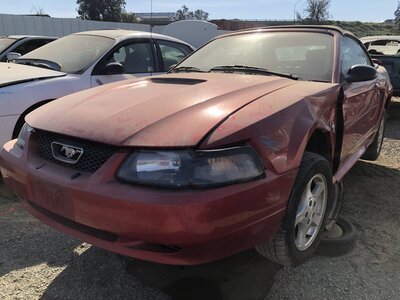 Catalog item FRE111975