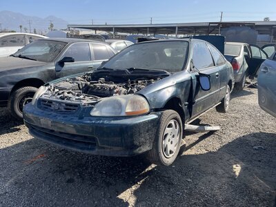 Catalog item POM063352