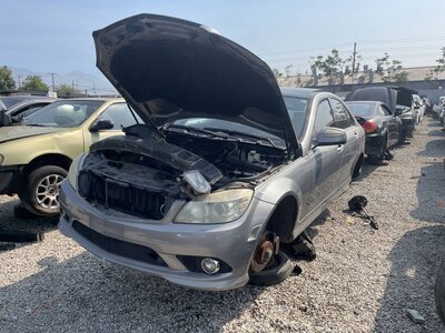 Catalog item POM063684