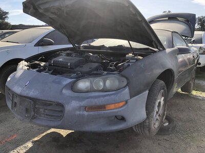 Catalog item FRE111614