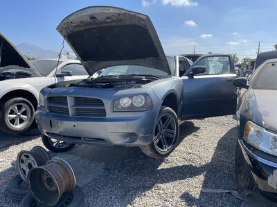 Catalog item POM064088