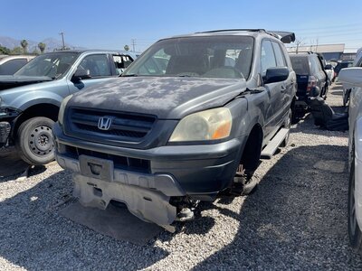 Catalog item POM063190