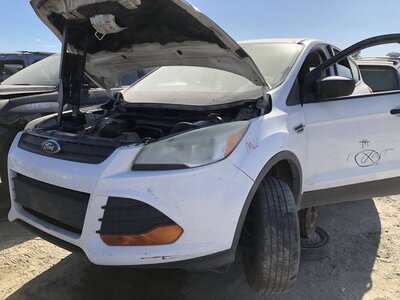 Catalog item FRE112501