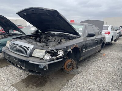 Catalog item POM063373