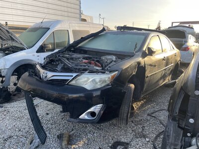 Catalog item POM062175