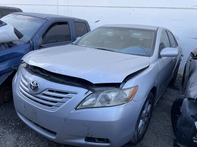 Catalog item POM060588