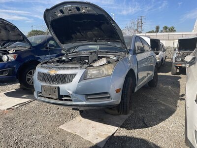 Catalog item POM063445