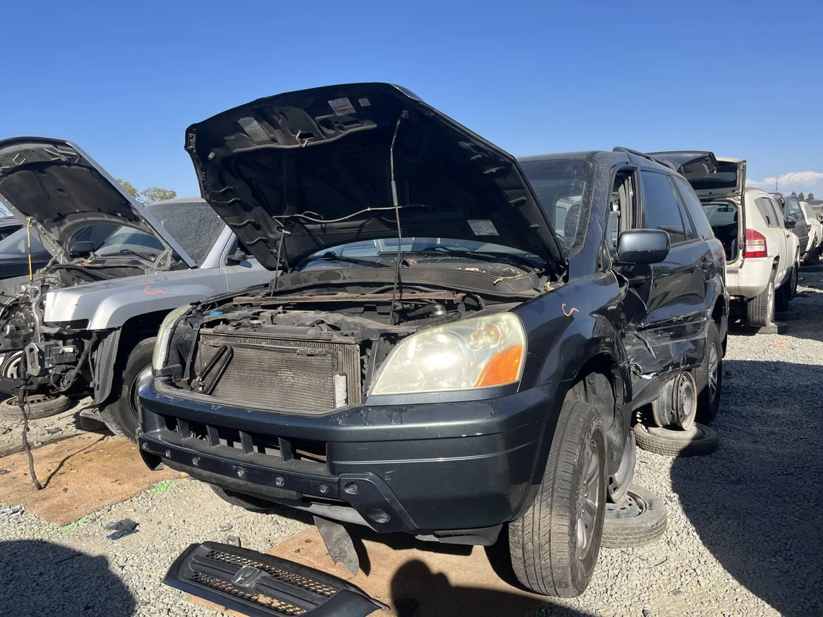 2003 Pilot