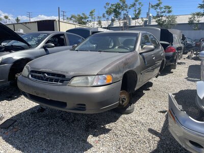 Catalog item POM063877