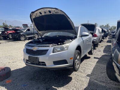 Catalog item POM063825