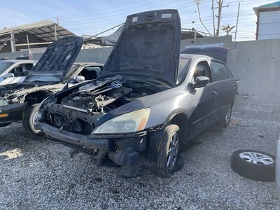 Catalog item POM063244