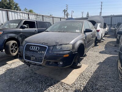 Catalog item POM063417