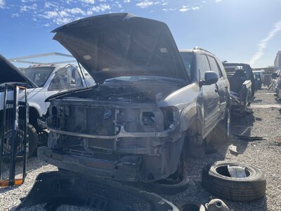 Catalog item POM064044