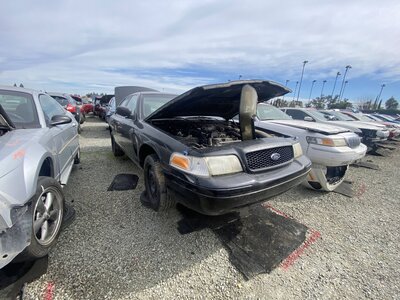 Catalog item SAC046887