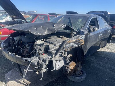 Catalog item STK055790