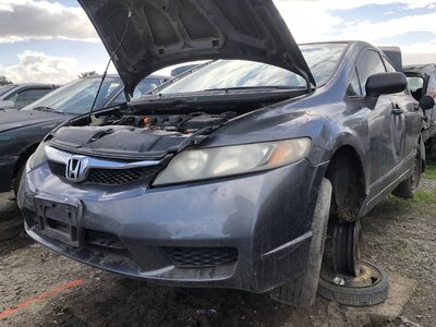 Catalog item FRE110954