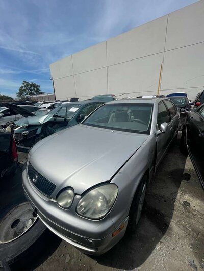 Catalog item POM063128