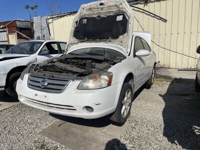 Catalog item POM063507