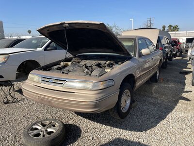 Catalog item POM063281