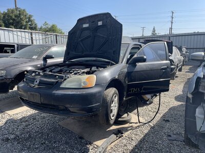 Catalog item POM063379