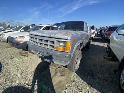 Catalog item SAC046359