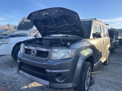 Catalog item POM061858