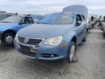 Catalog item STK056279