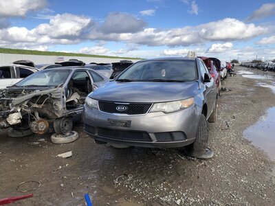 Catalog item FRE111193