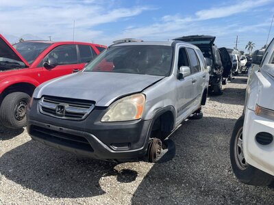 Catalog item POM062938