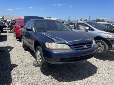 Catalog item POM063925