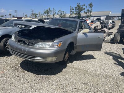 Catalog item POM063793