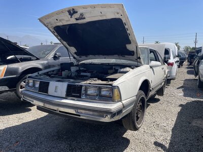 Catalog item POM063807