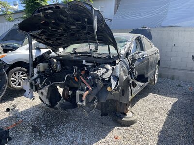 Catalog item POM064003