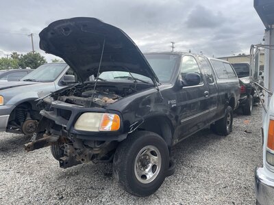 Catalog item POM063599