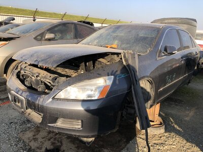 Catalog item FRE110683