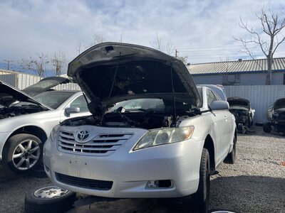 Catalog item POM062333