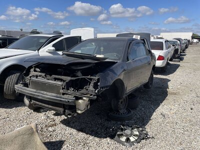 Catalog item POM064031