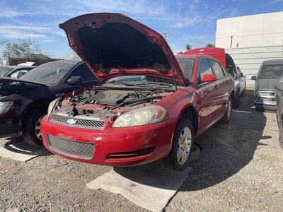 Catalog item POM063460