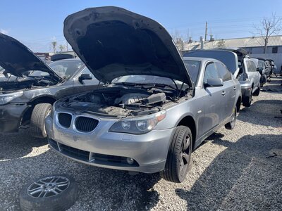 Catalog item POM062986