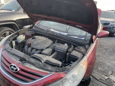 Catalog item POM060877