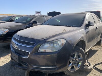 Catalog item FRE112778