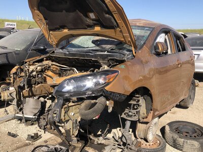 Catalog item FRE111841