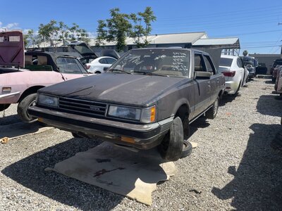 Catalog item POM063906