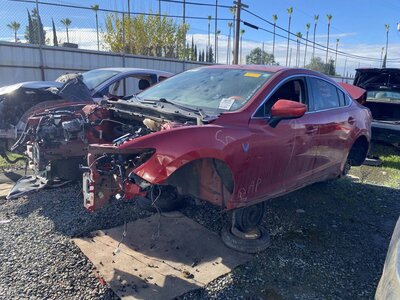 Artículo del catálogo SAC042639