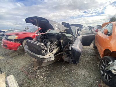 Catalog item SAC040637